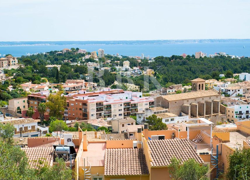 Reventa - apartment -
Palma - Gènova
