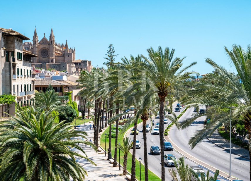 Reventa - apartment -
Palma - Santa Catalina
