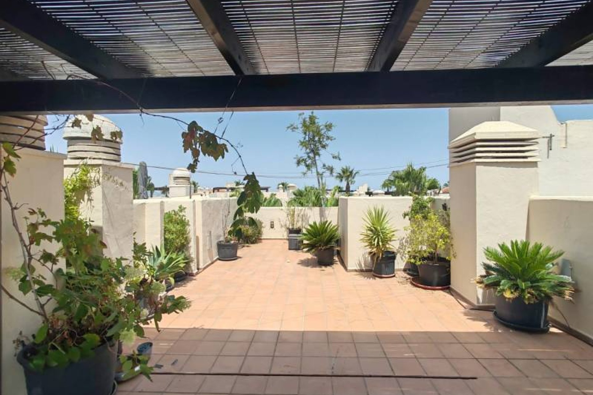 Reventa - apartment -
San Javier - Roda