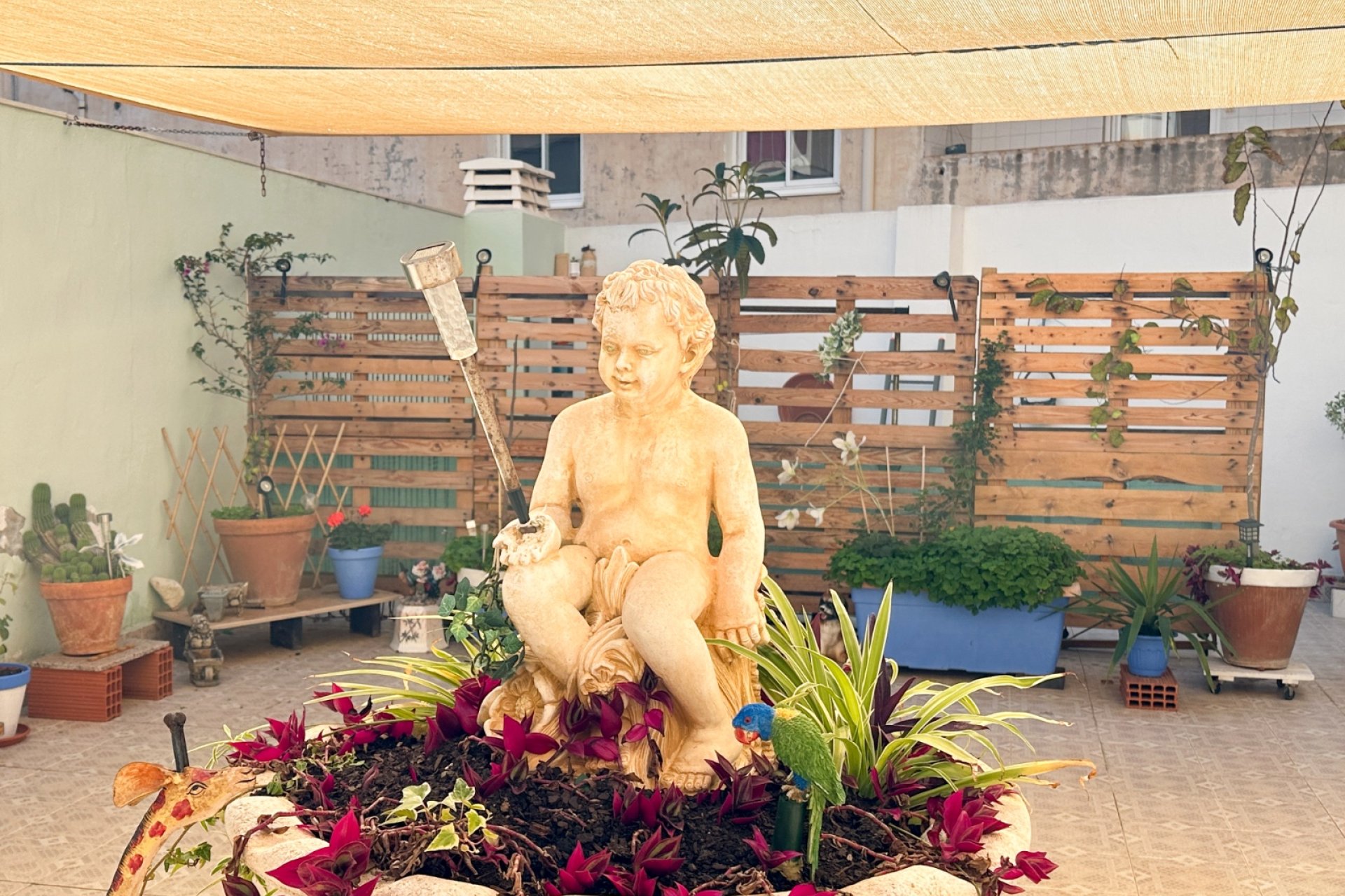 Reventa - apartment -
Torrevieja - Center