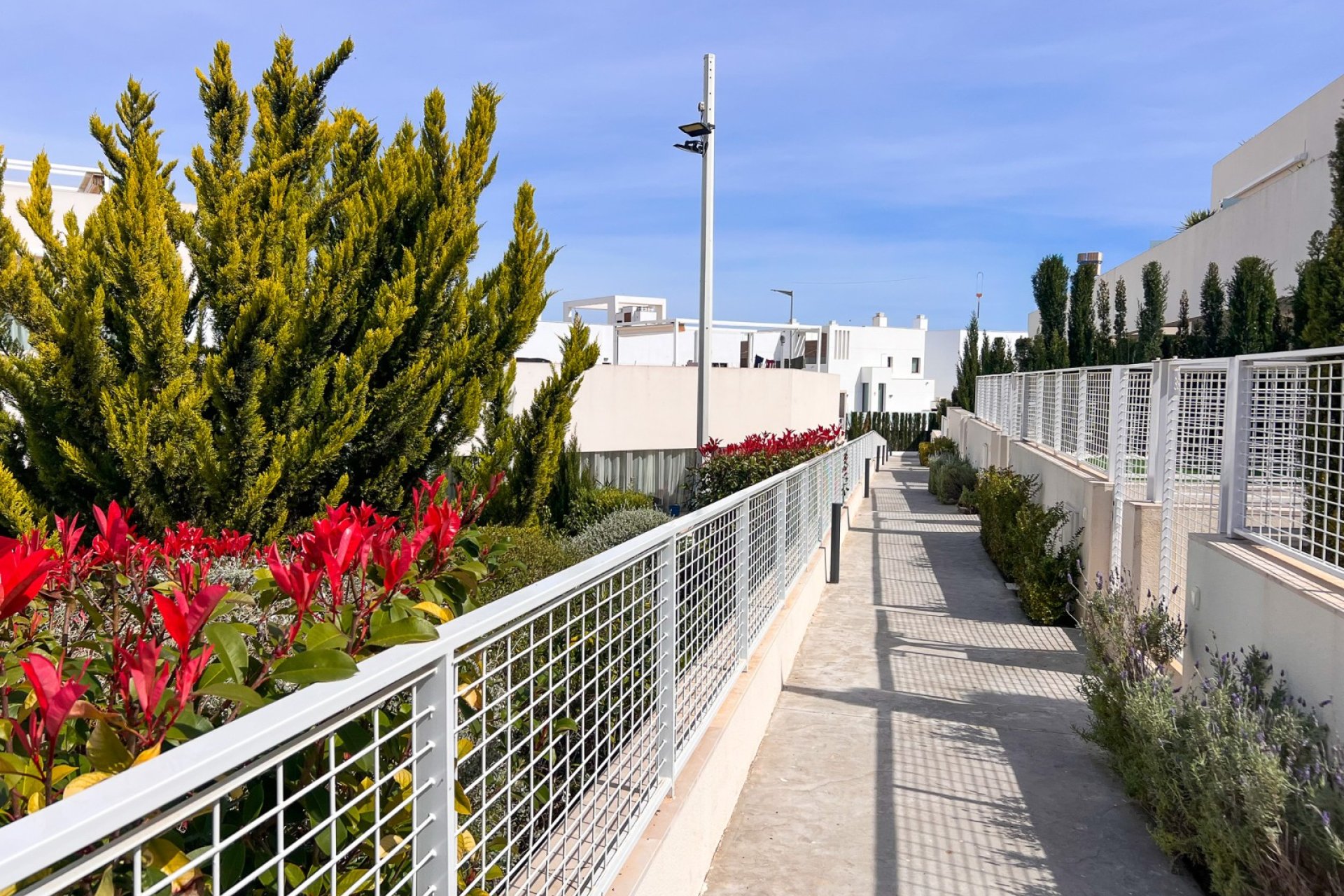 Reventa - apartment -
Torrevieja - Los Balcones