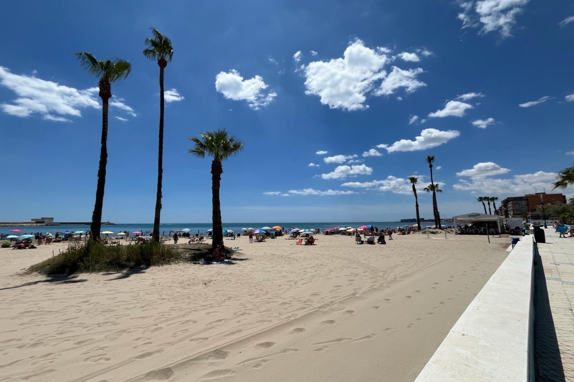Reventa - apartment -
Torrevieja