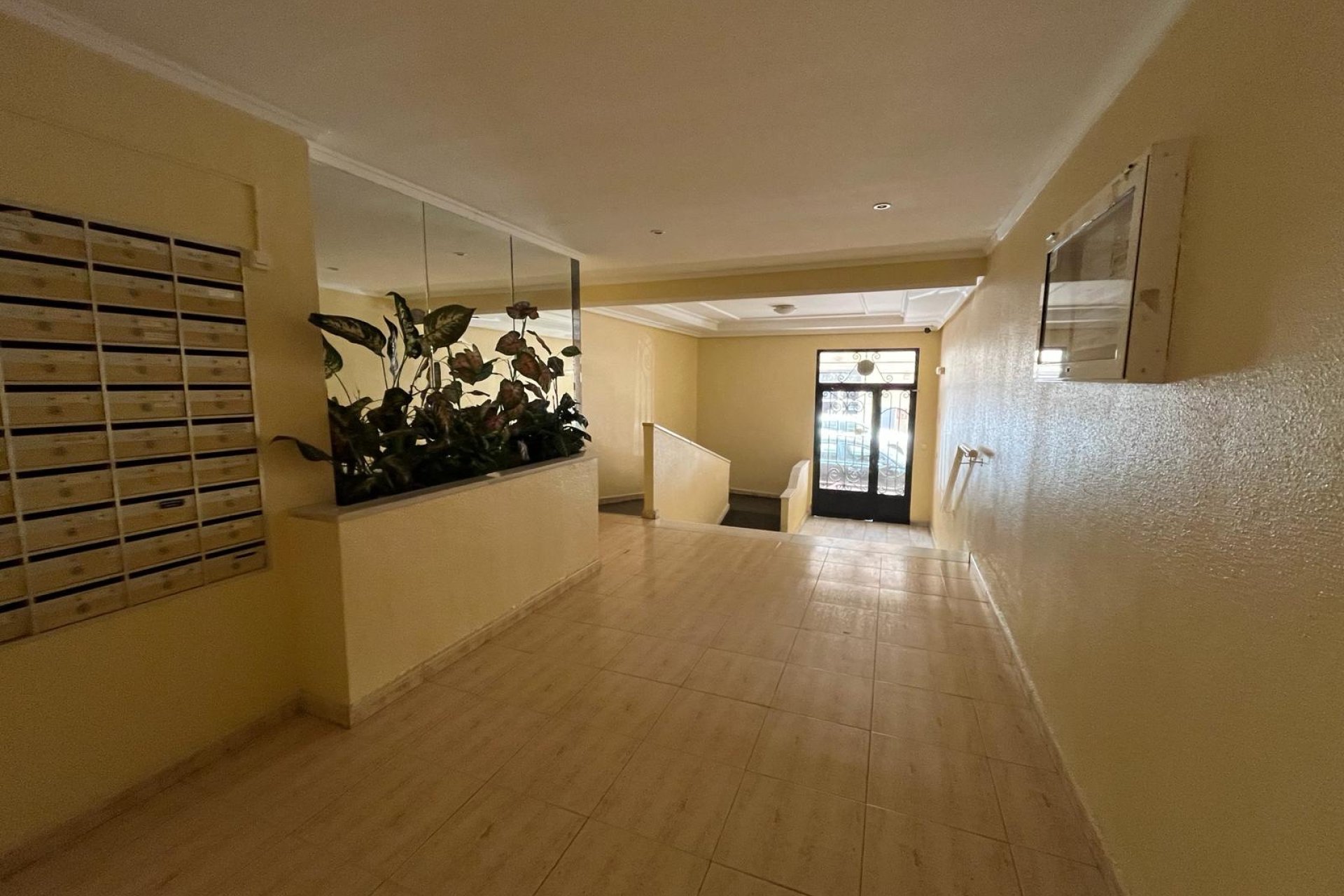 Reventa - apartment -
Torrevieja