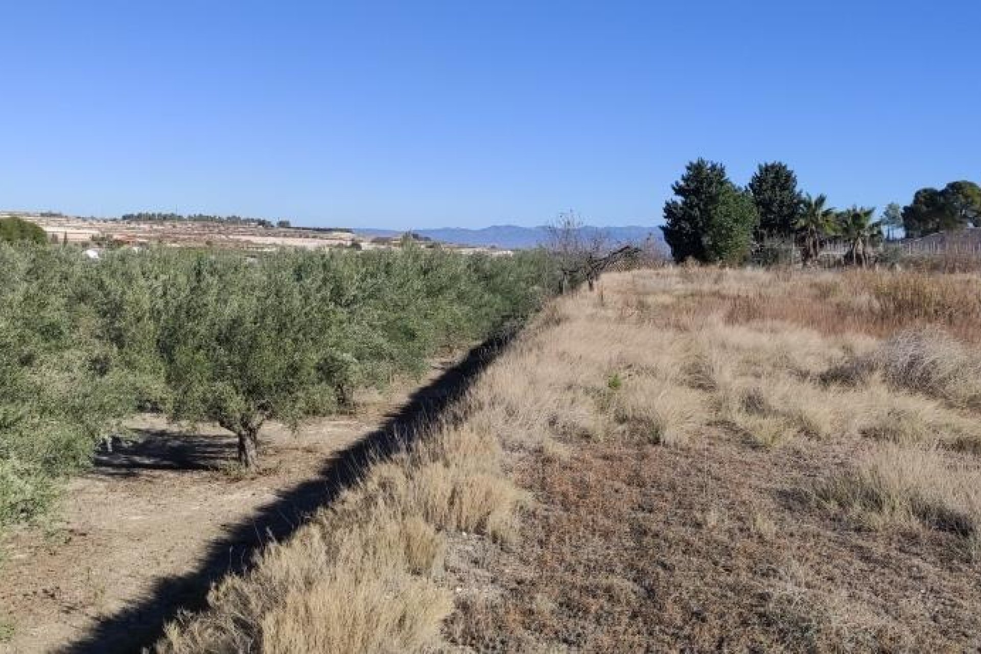 Reventa - Country House -
Agullent
