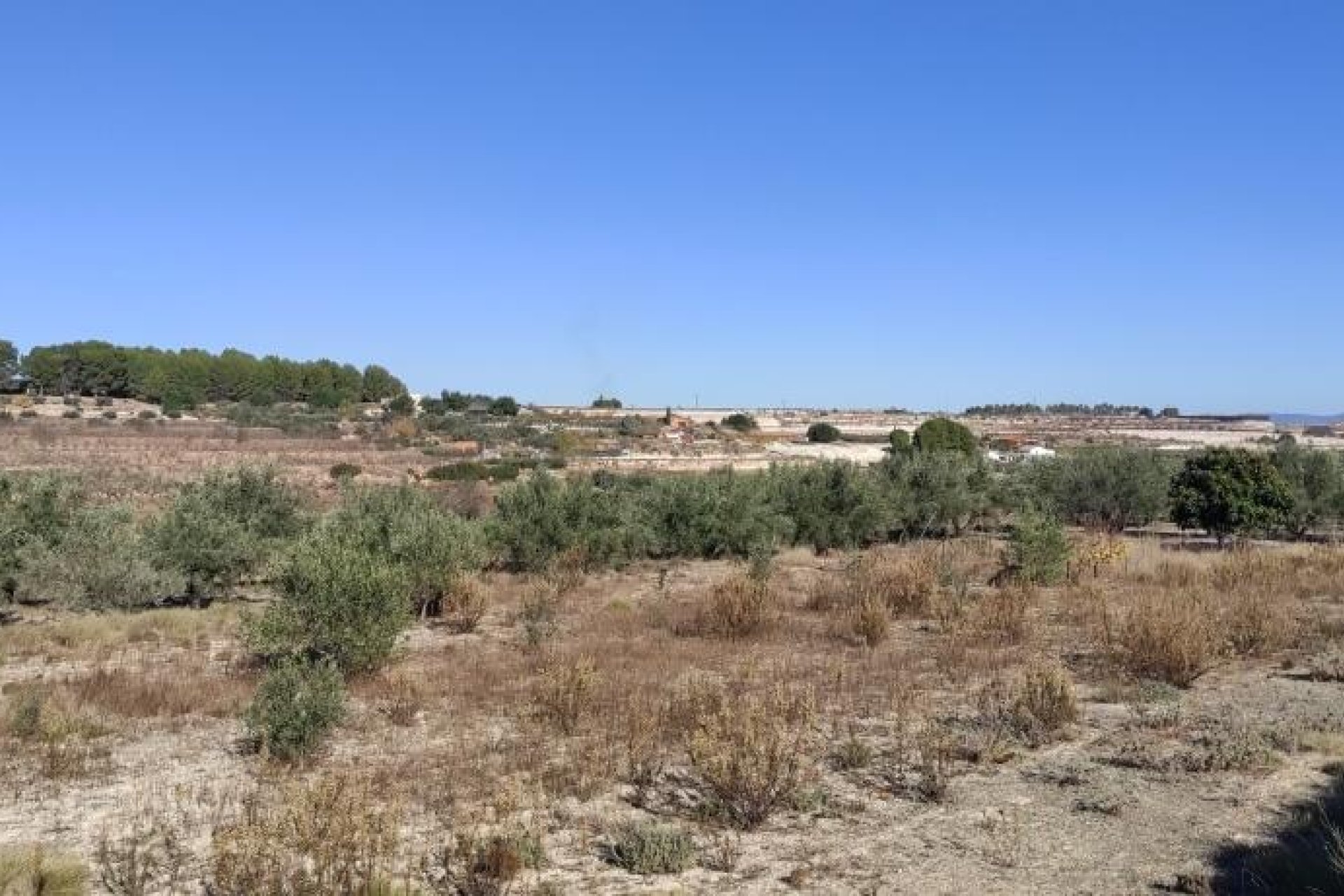 Reventa - Country House -
Agullent
