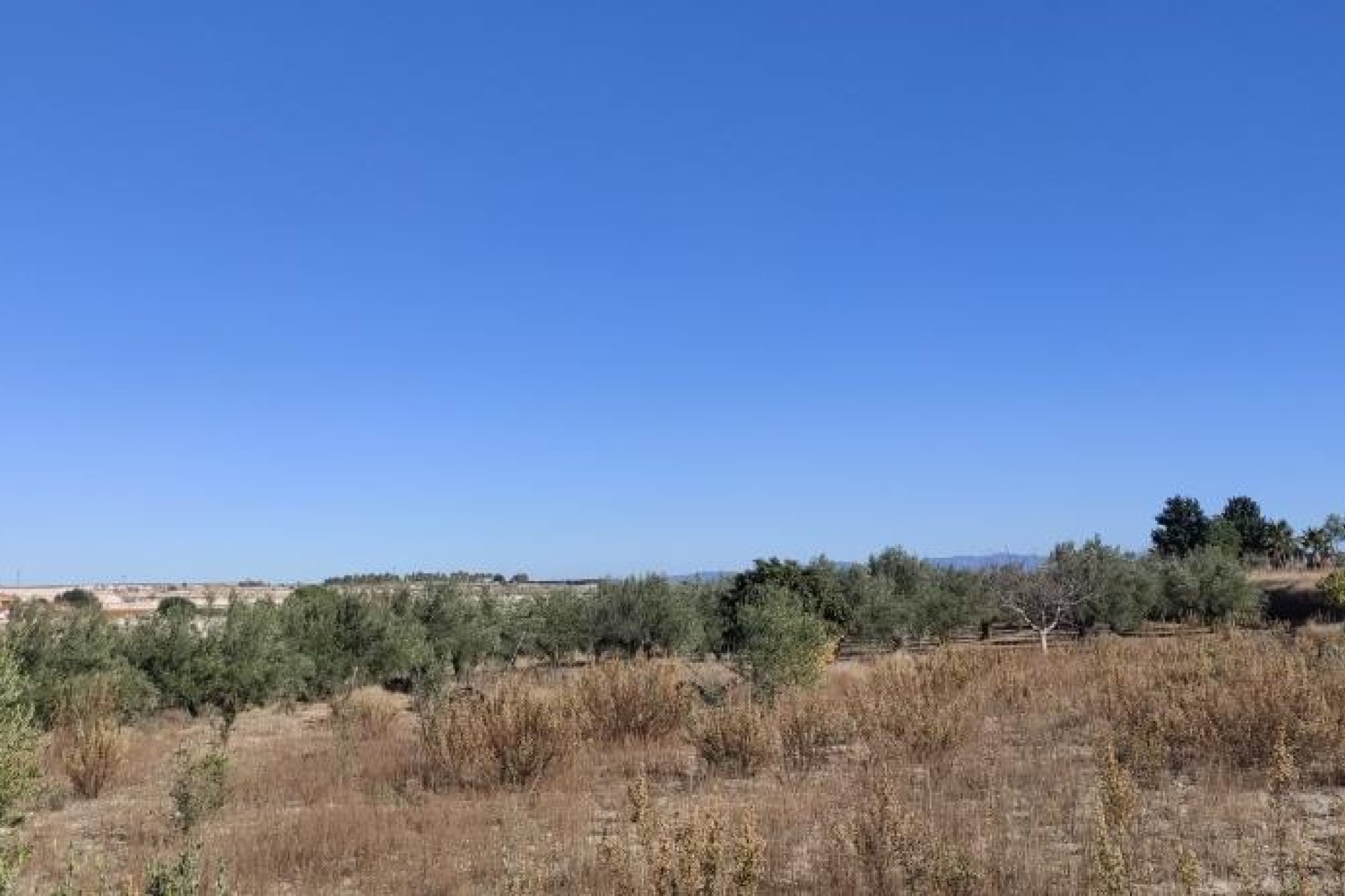Reventa - Country House -
Agullent