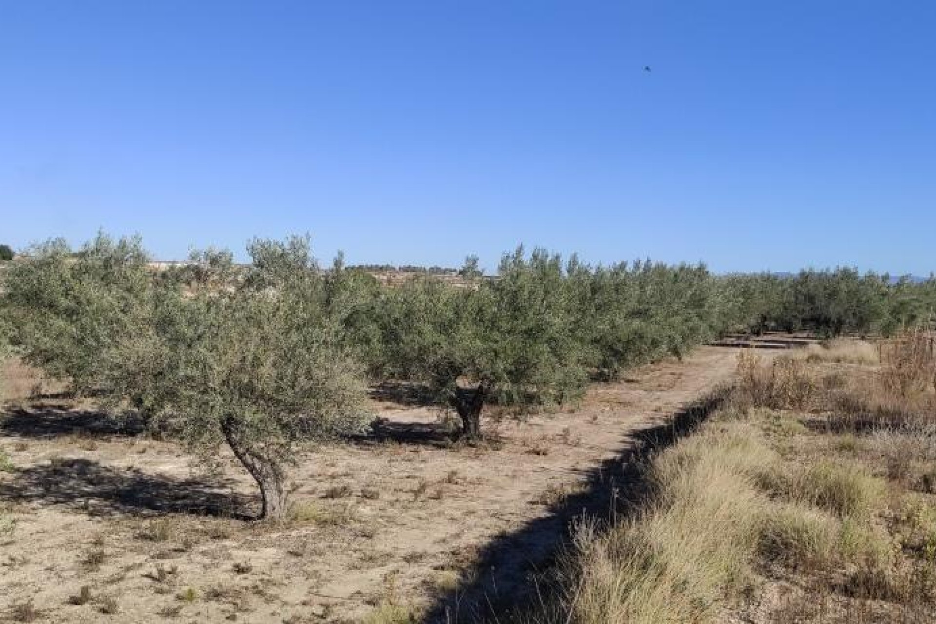 Reventa - Country House -
Agullent