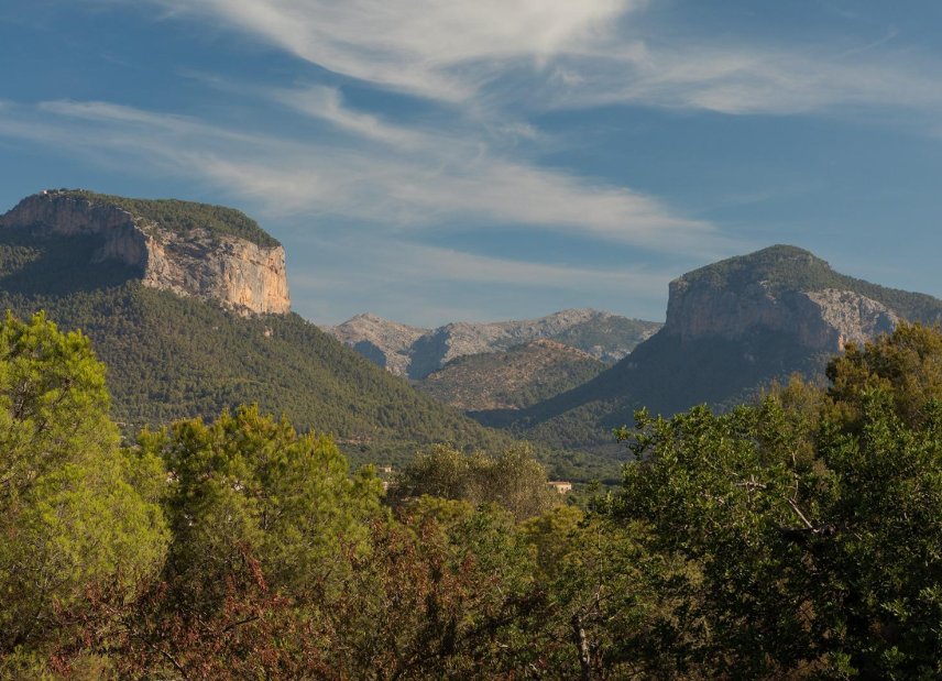 Reventa - Country House -
Alaró - Alaró rural