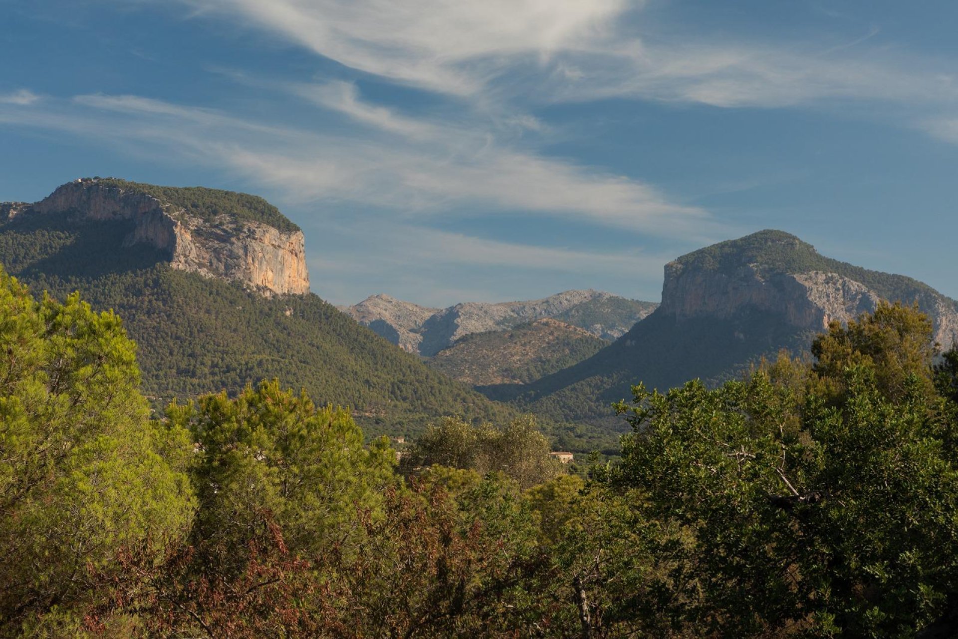 Reventa - Country House -
Alaró - Alaró rural
