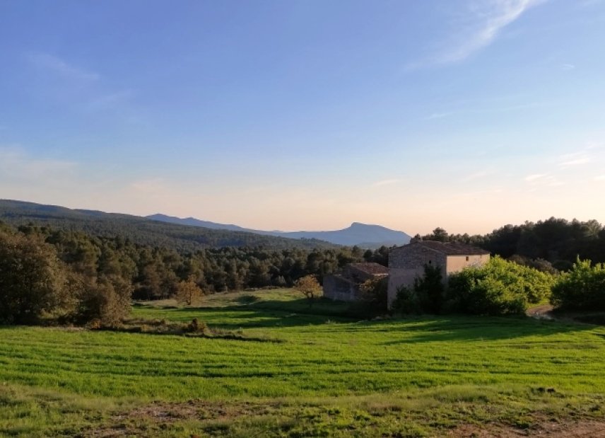 Reventa - Country House -
Bocairent