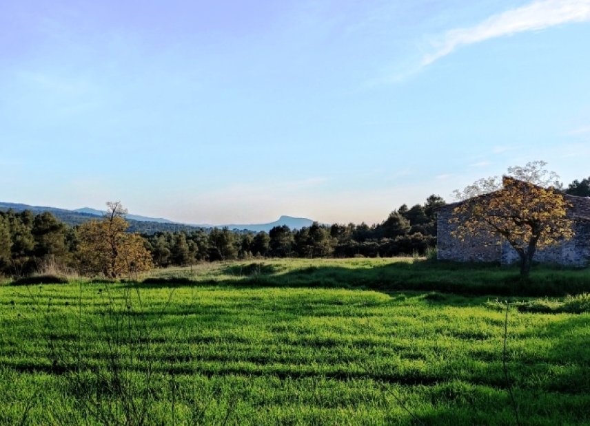 Reventa - Country House -
Bocairent