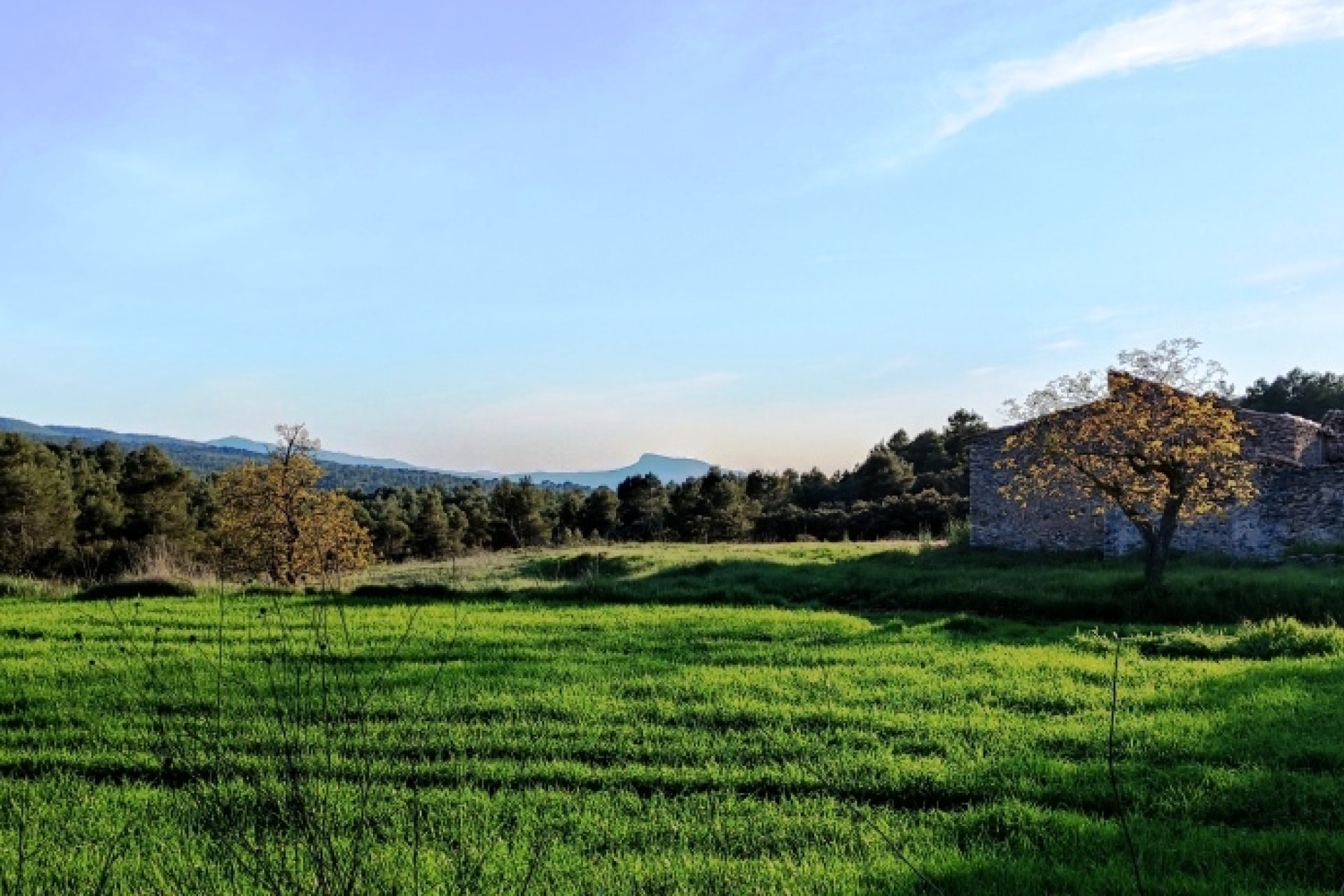 Reventa - Country House -
Bocairent