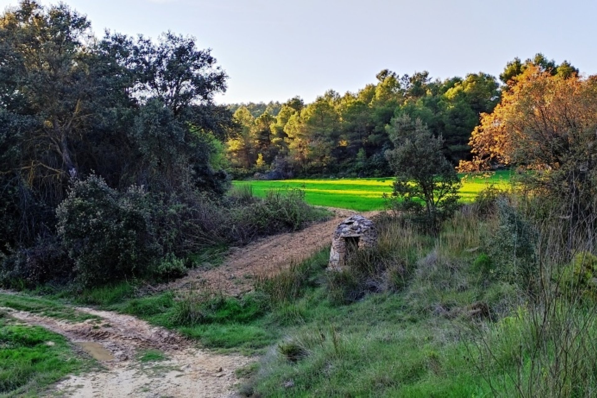 Reventa - Country House -
Bocairent