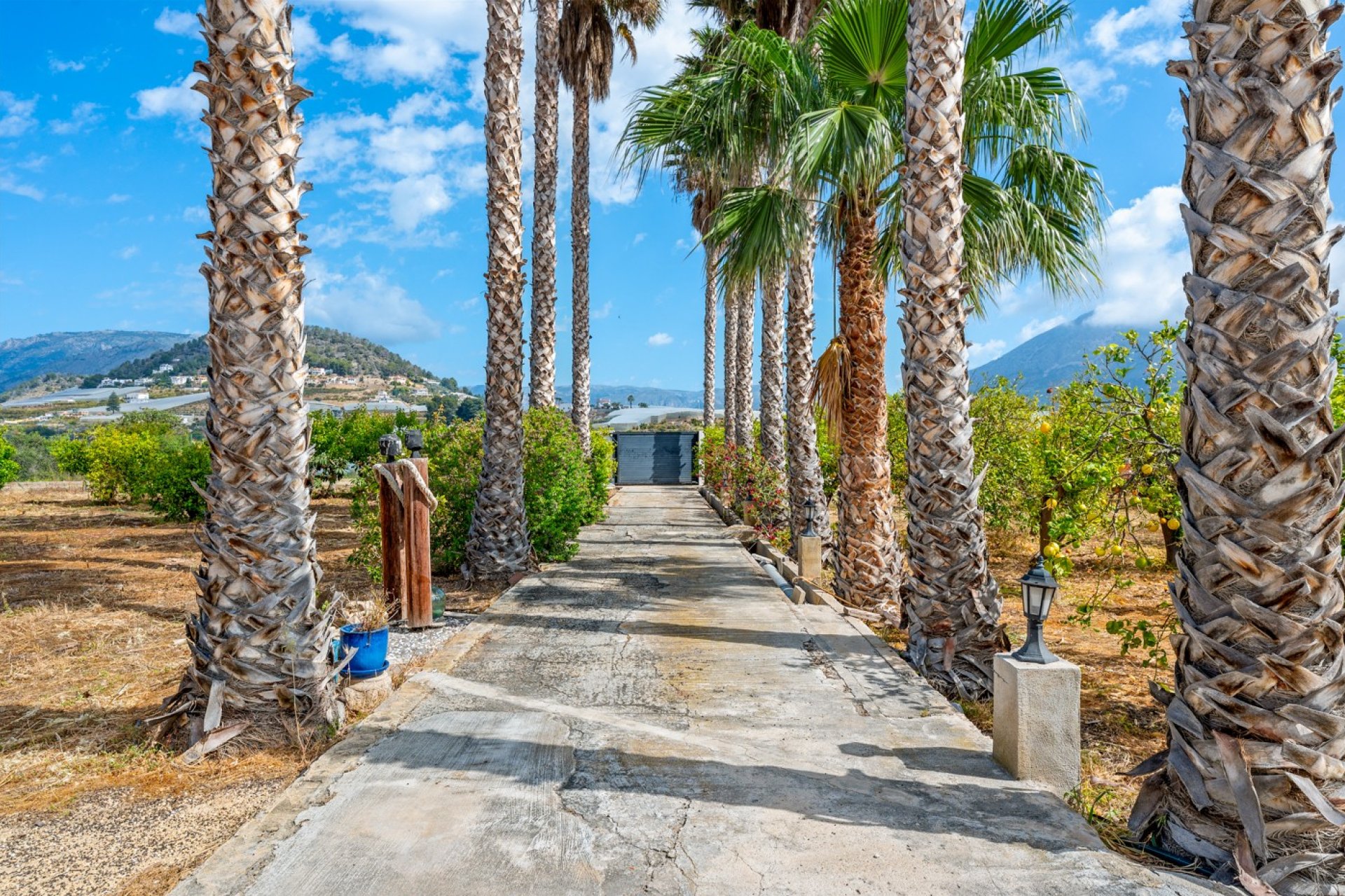 Reventa - Country House -
La Nucía