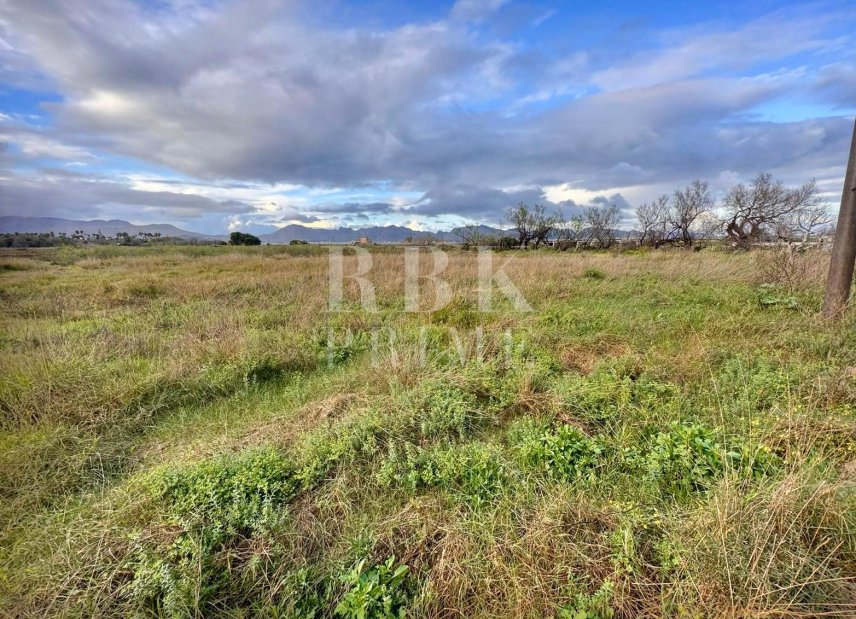 Reventa - Land -
Alcudia - Es Barcarás