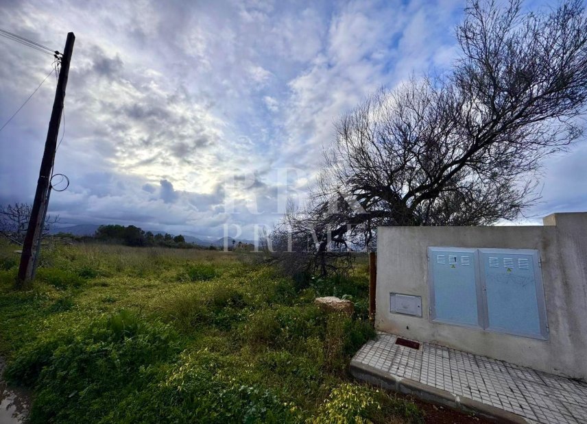 Reventa - Land -
Alcudia - Es Barcarás