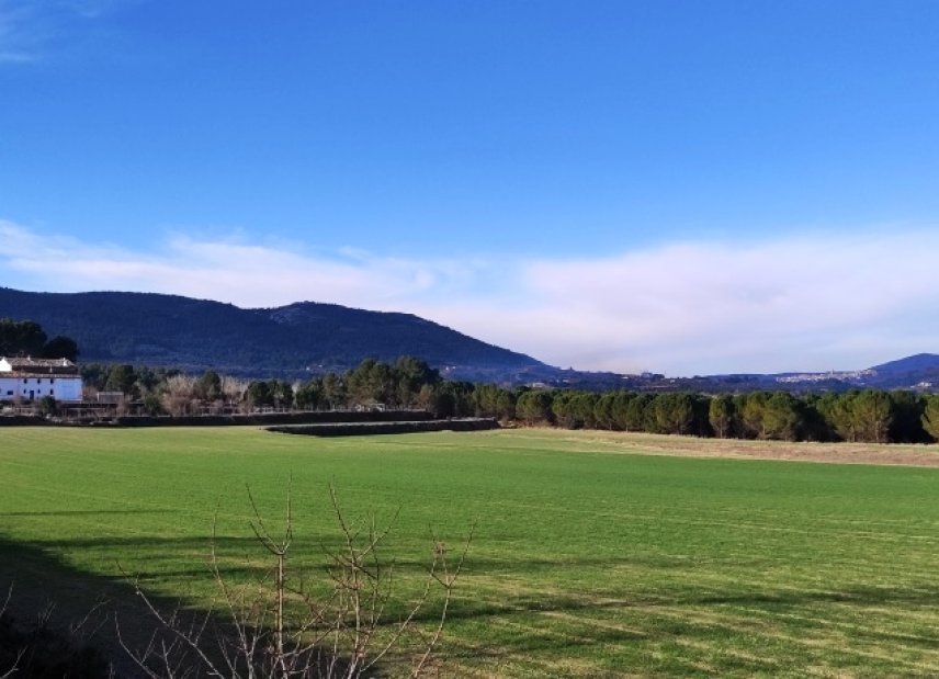 Reventa - Land -
Alfafara