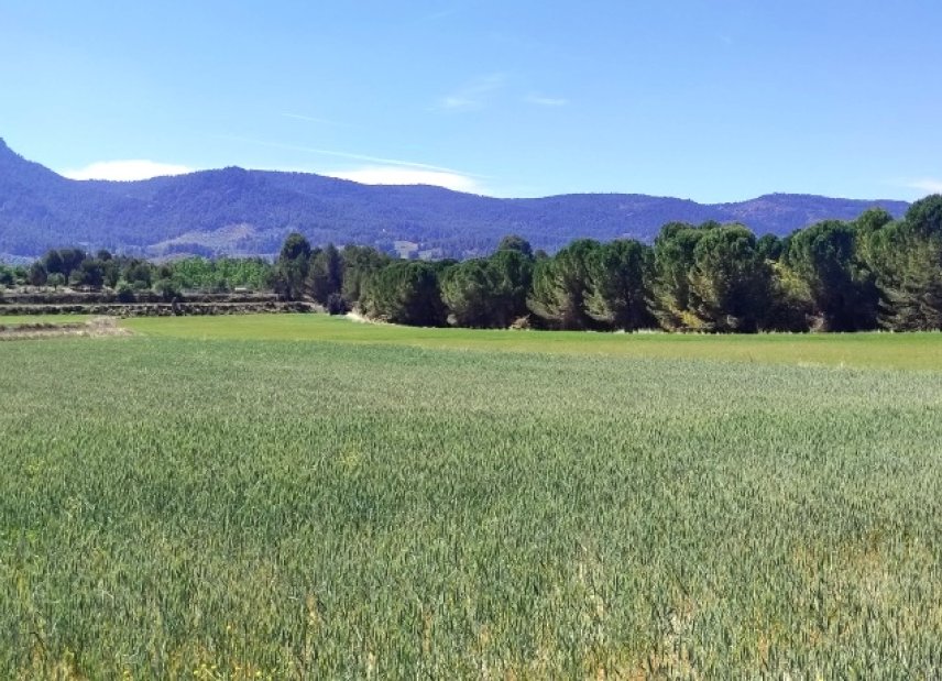 Reventa - Land -
Alfafara