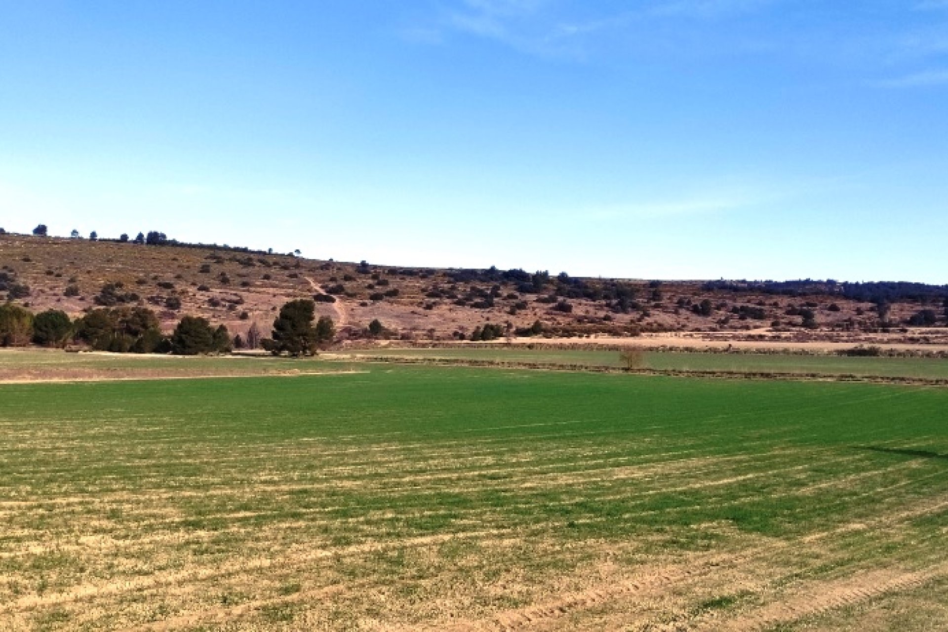 Reventa - Land -
Alfafara