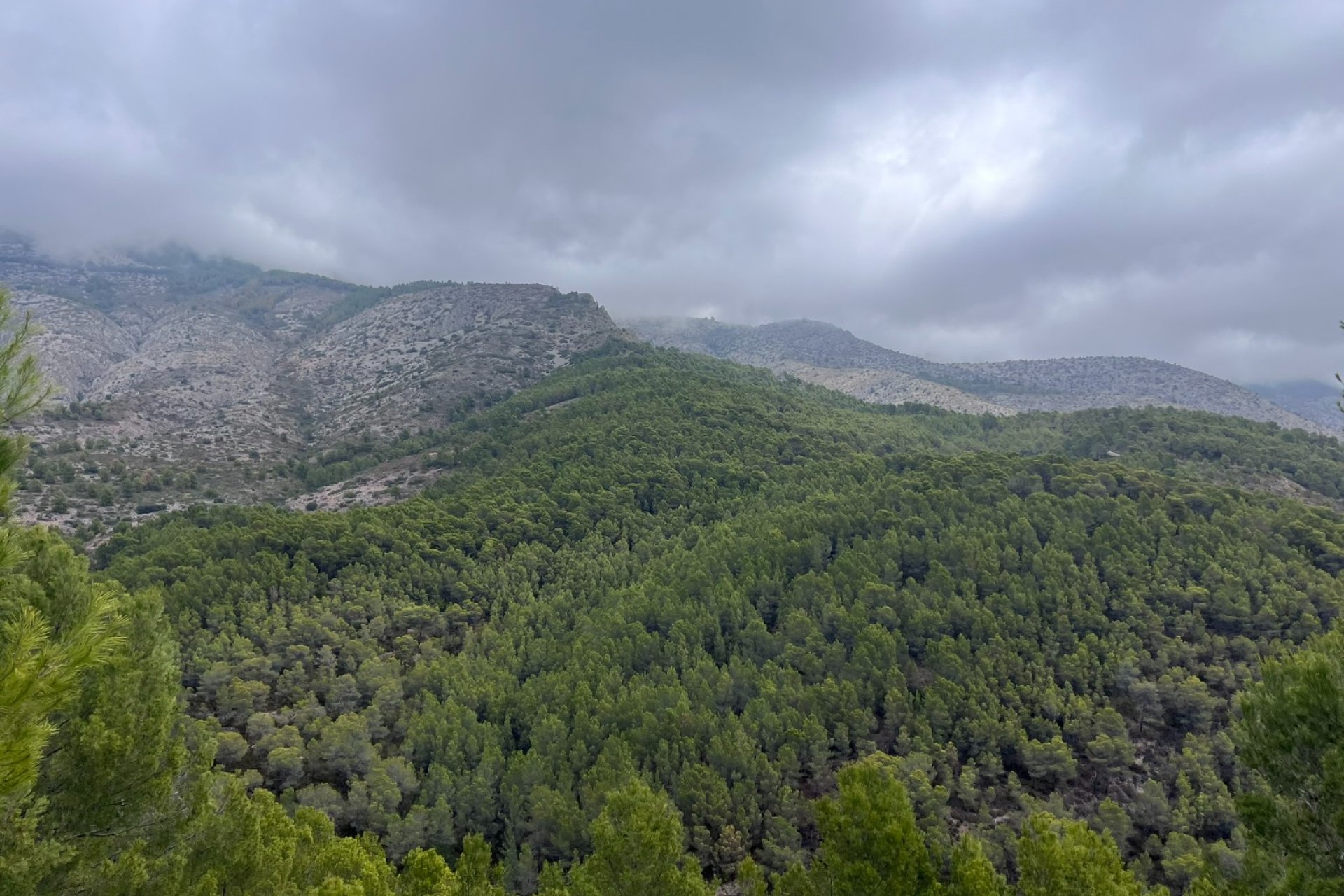 Reventa - Land -
Altea - Sierra de Altea