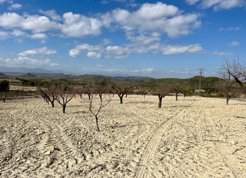 Reventa - Land -
BULLAS - Costa Calida