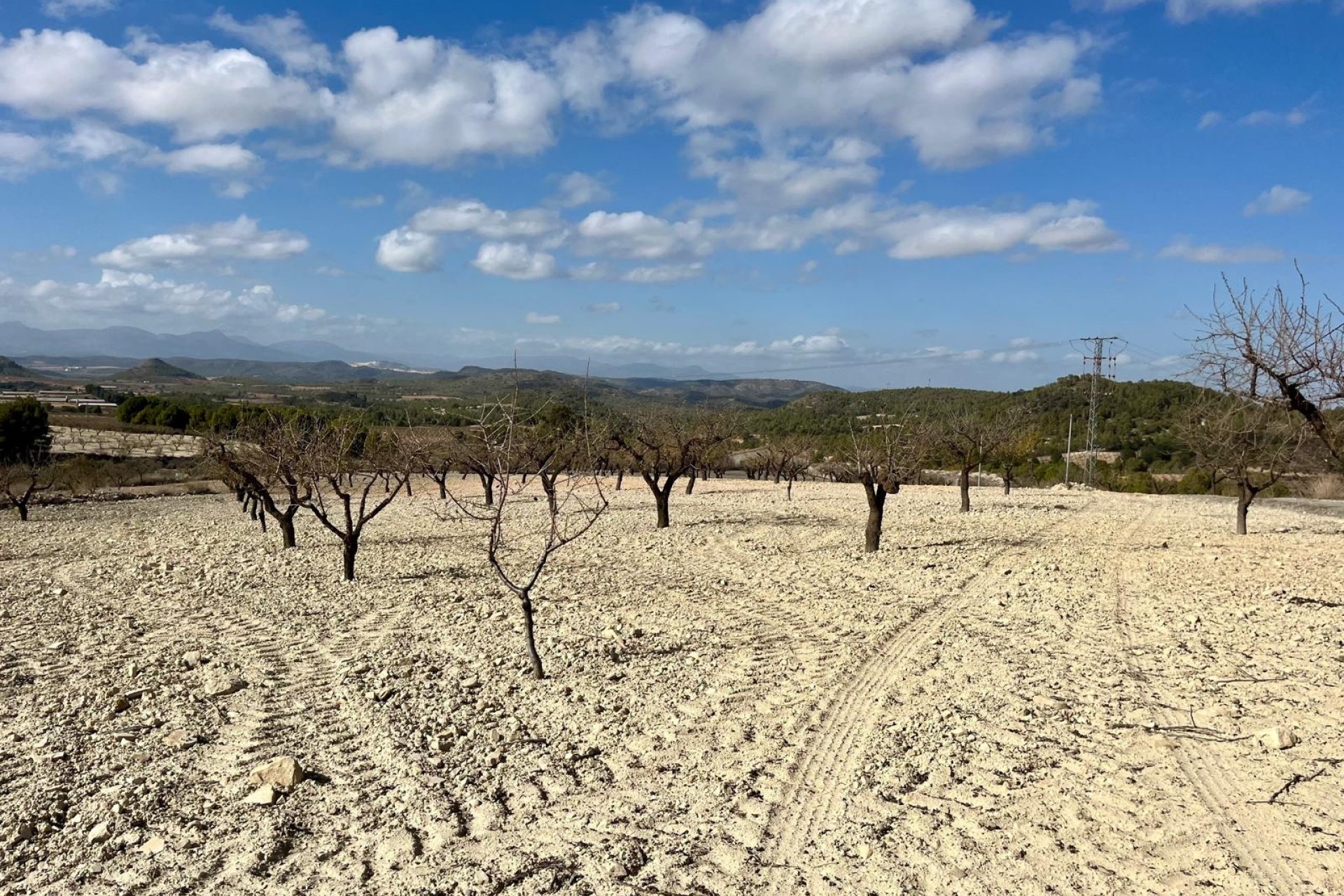 Reventa - Land -
BULLAS - Costa Calida