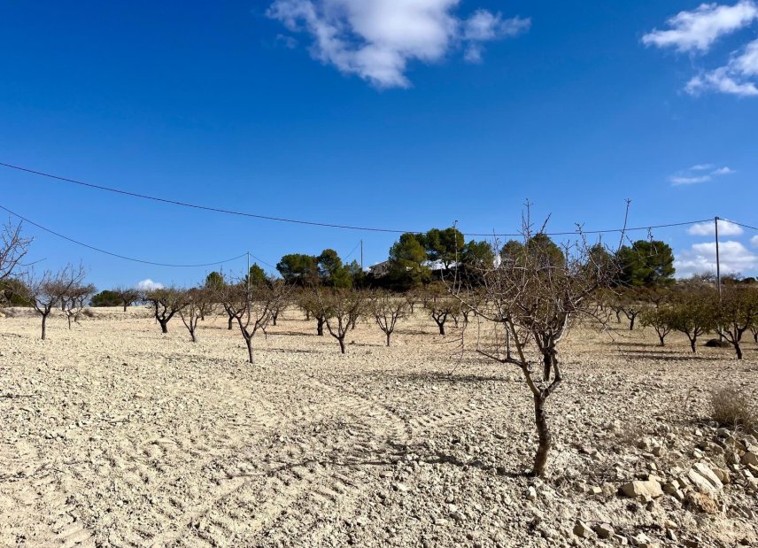 Reventa - Land -
BULLAS - Costa Calida