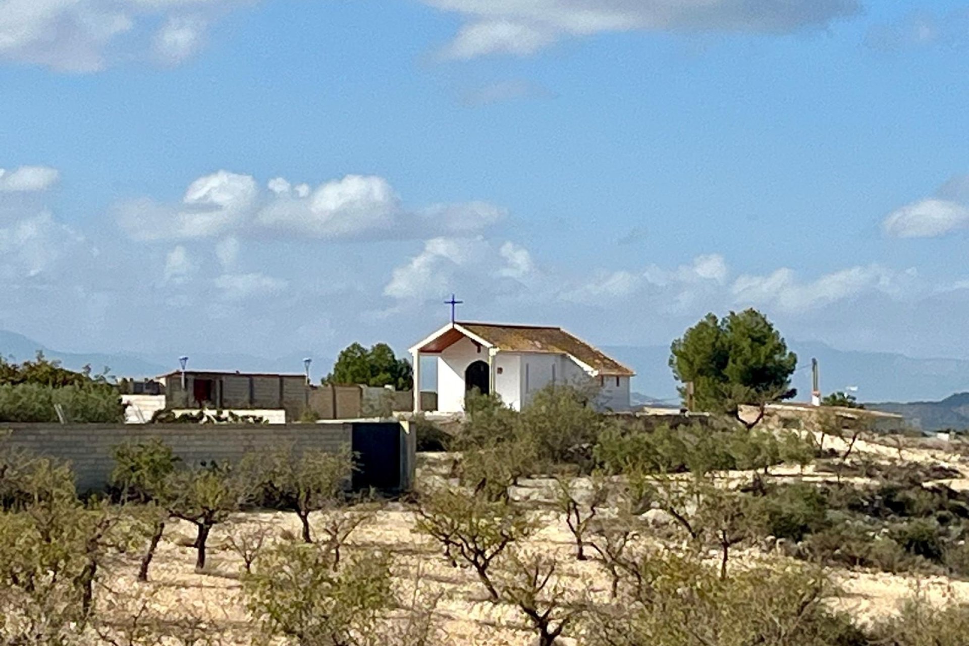 Reventa - Land -
BULLAS - Costa Calida