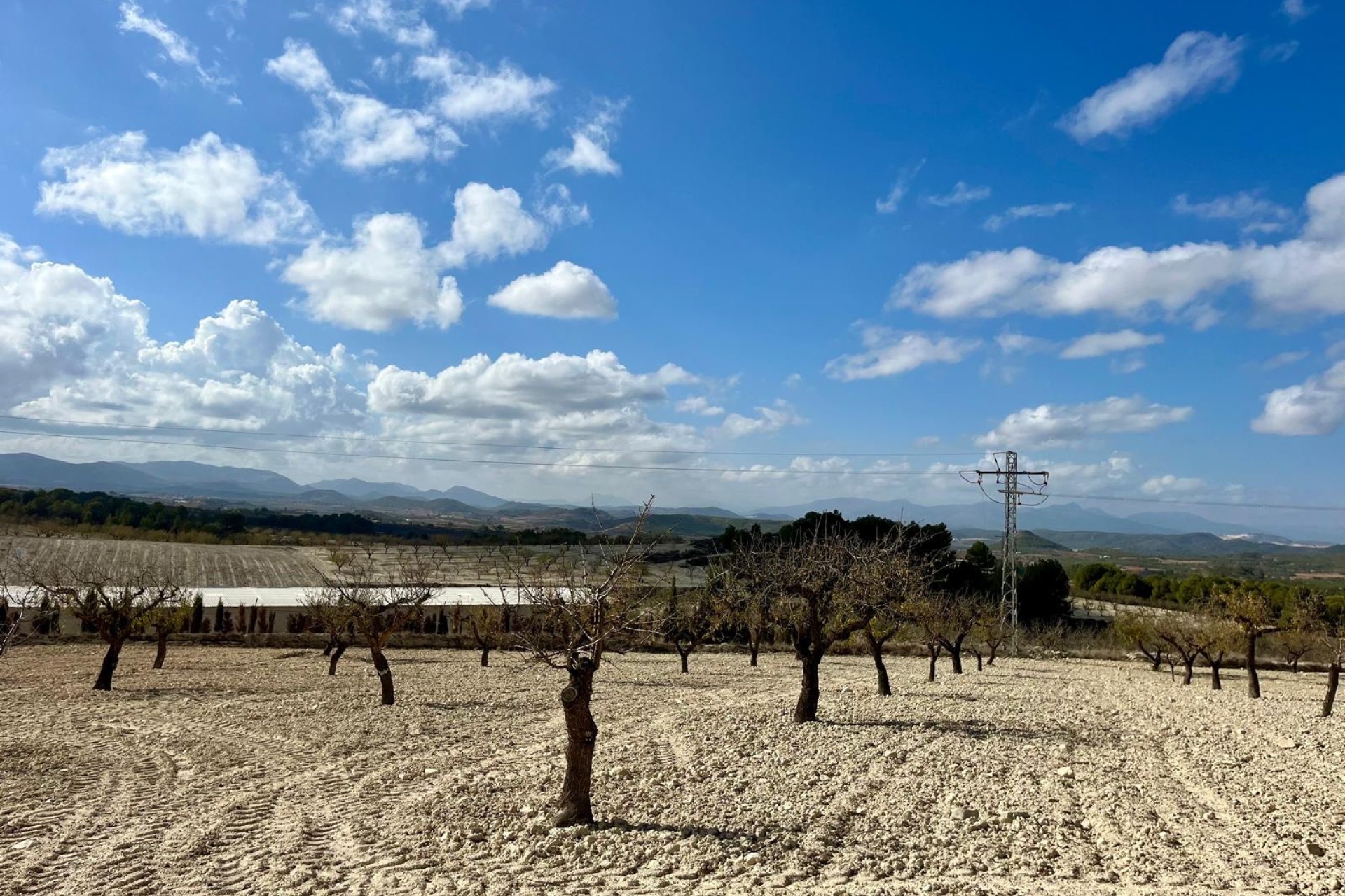 Reventa - Land -
BULLAS - Costa Calida