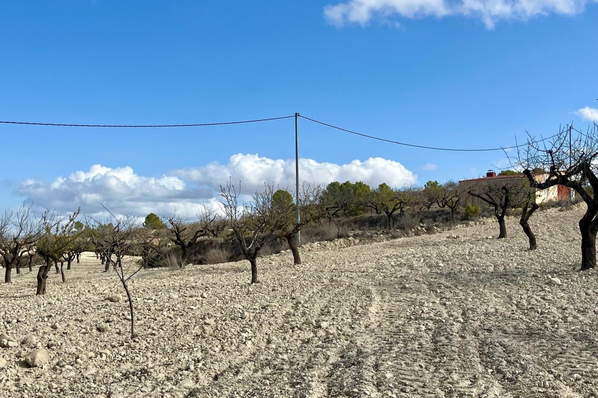 Reventa - Land -
BULLAS - Costa Calida