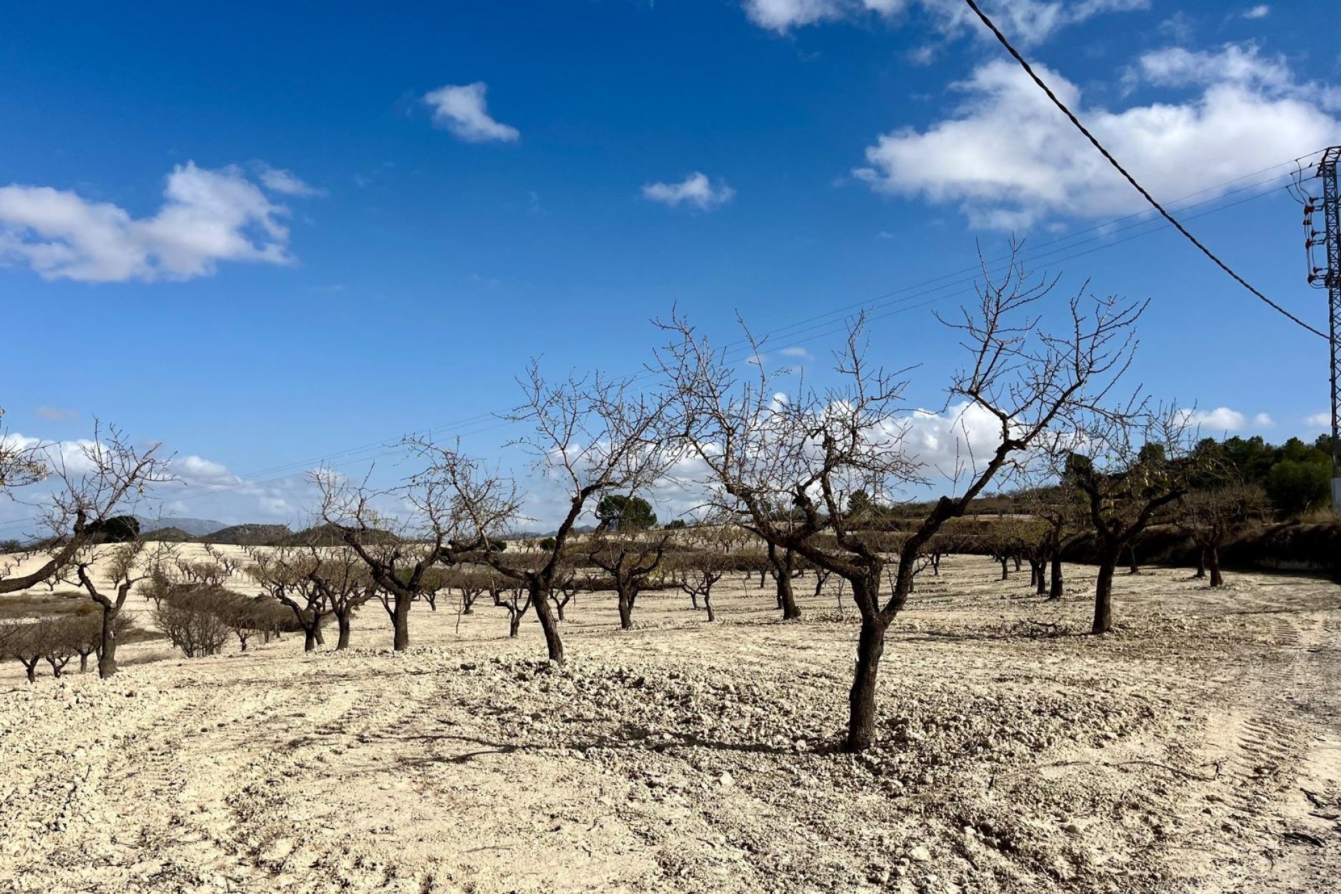 Reventa - Land -
BULLAS - Costa Calida
