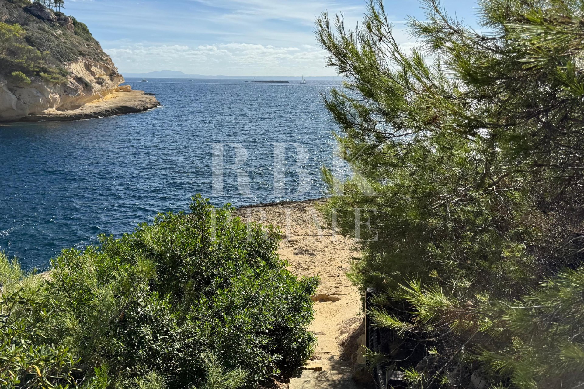 Reventa - Land -
Calvià - Sol de Mallorca