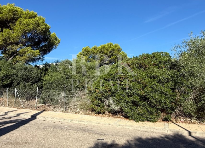 Reventa - Land -
Calvià - Sol de Mallorca