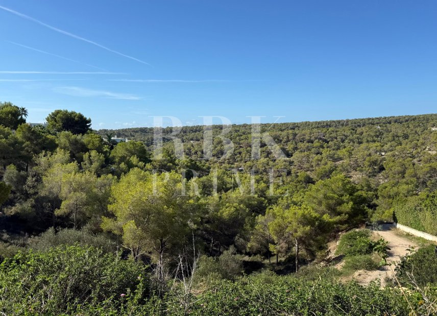 Reventa - Land -
Calvià - Sol de Mallorca