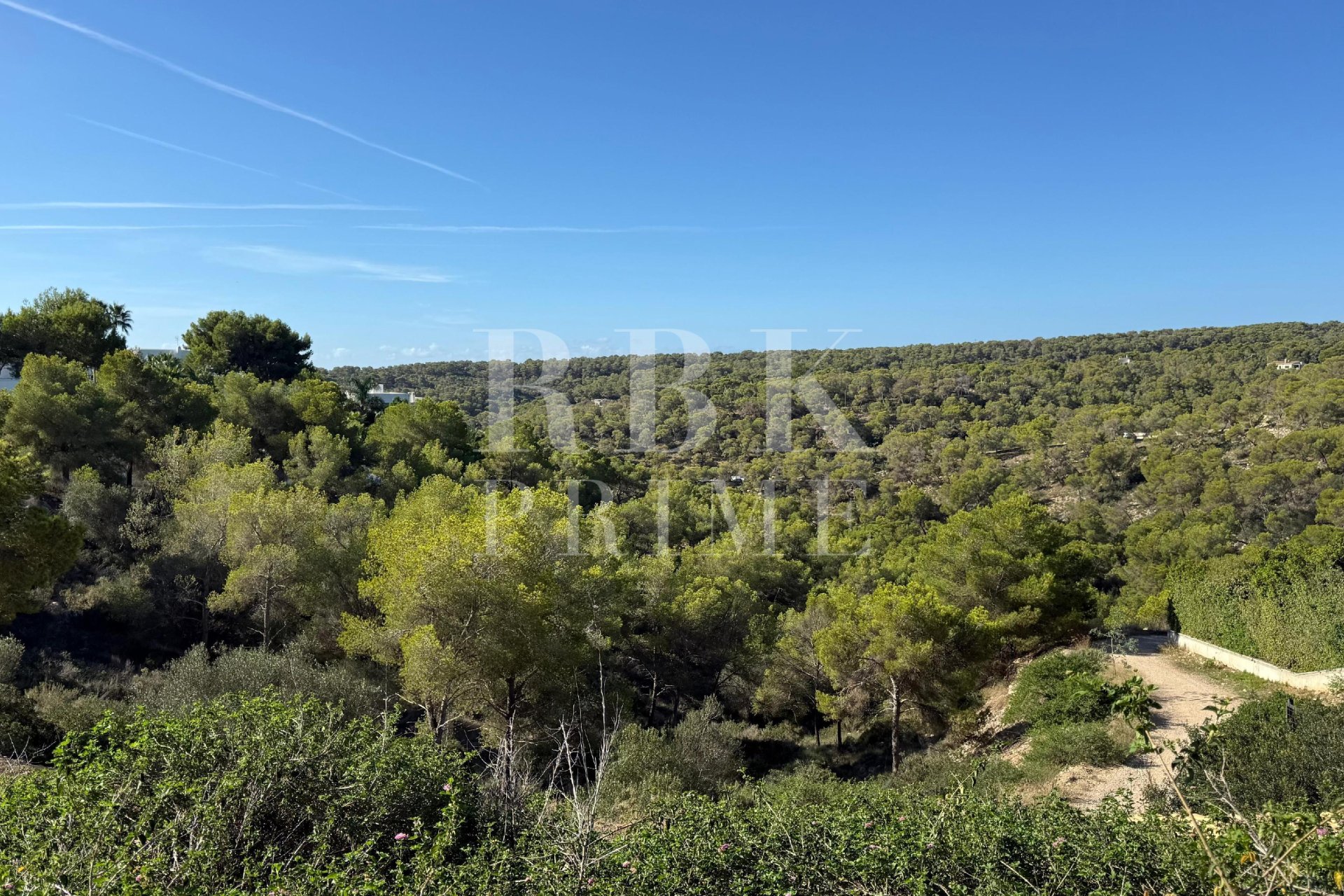 Reventa - Land -
Calvià - Sol de Mallorca