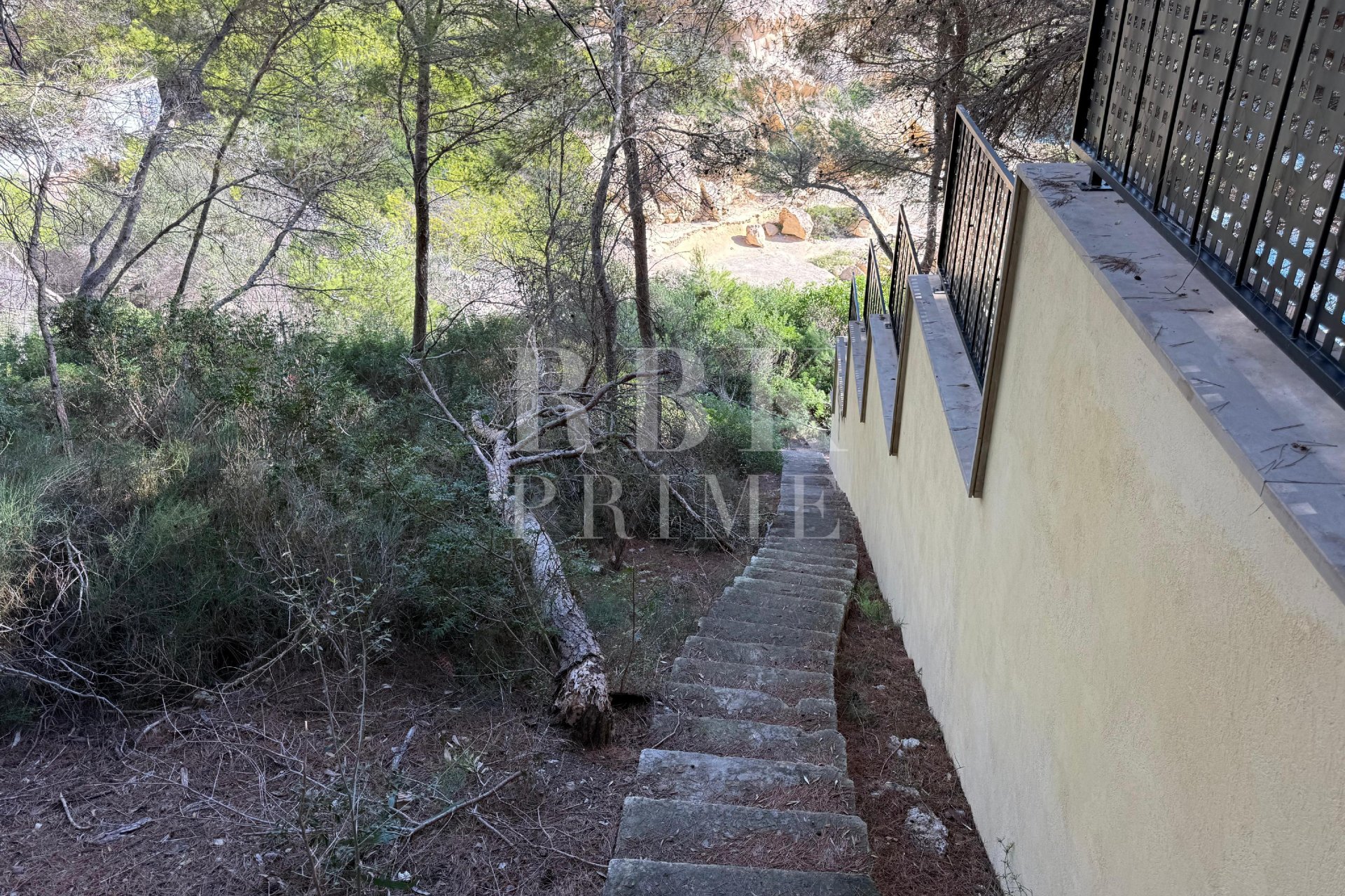 Reventa - Land -
Calvià - Sol de Mallorca