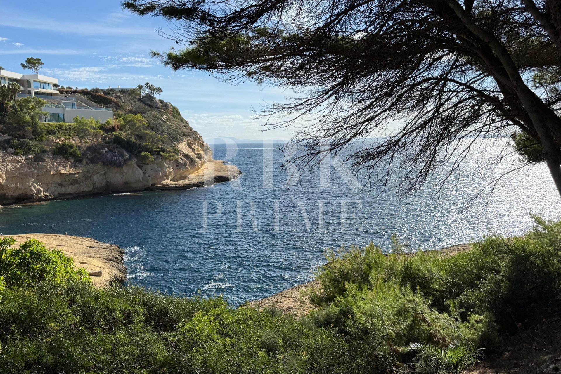 Reventa - Land -
Calvià - Sol de Mallorca