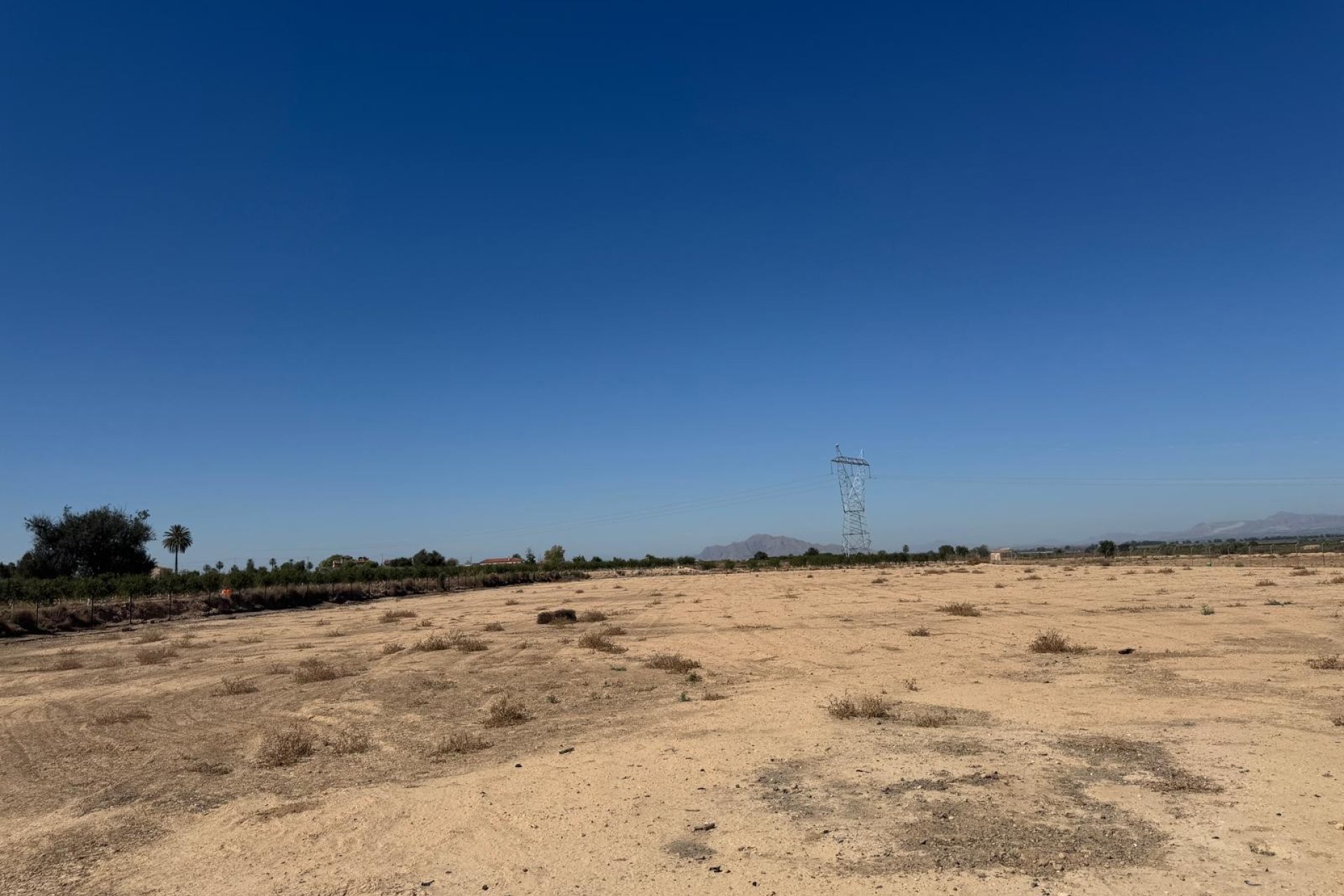 Reventa - Land -
Elche - La Marina