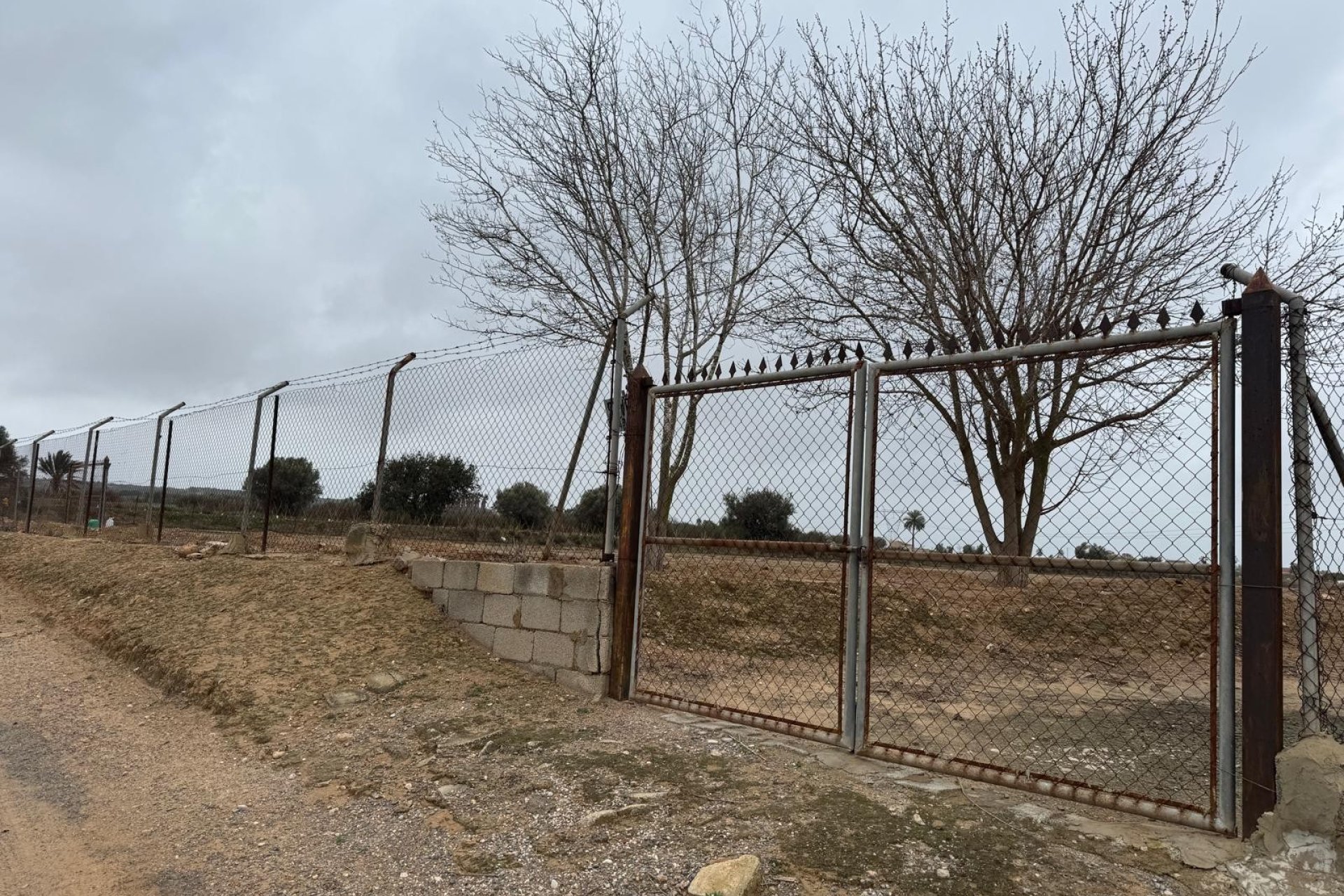 Reventa - Land -
Elche - La Marina