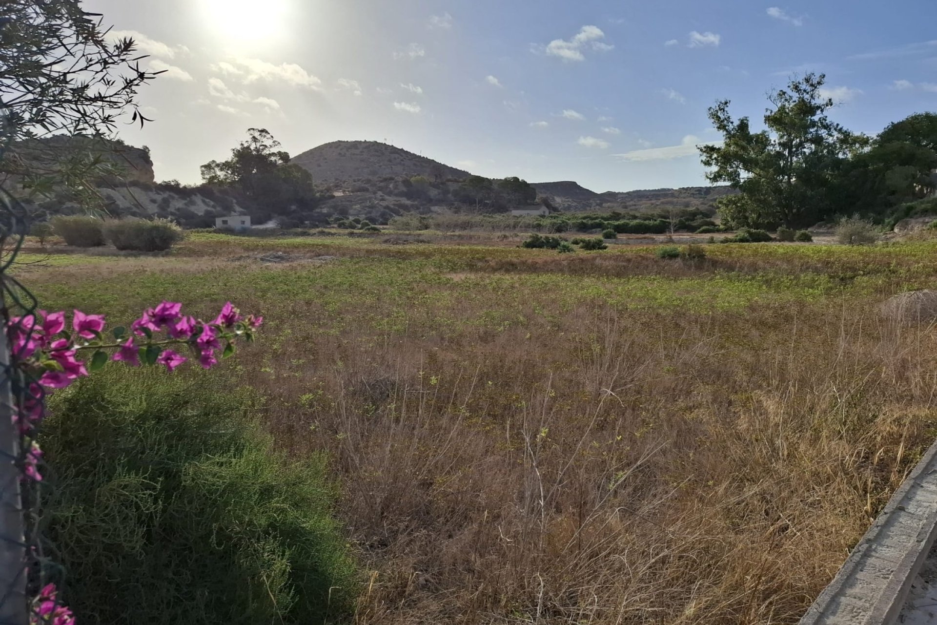 Reventa - Land -
Rojales - Ciudad Quesada