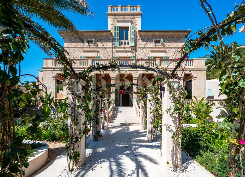 Reventa - Palace -
Palma - El Terreno