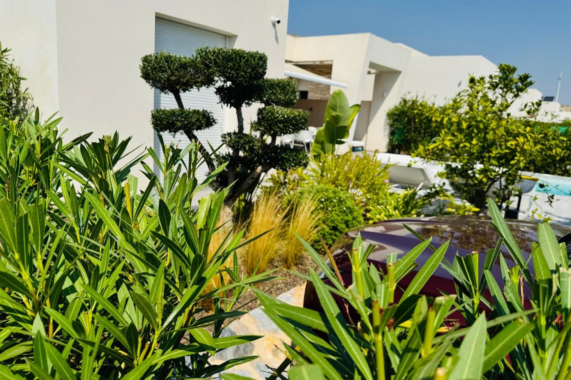 Reventa - Villa -
Algorfa - La finca Golf
