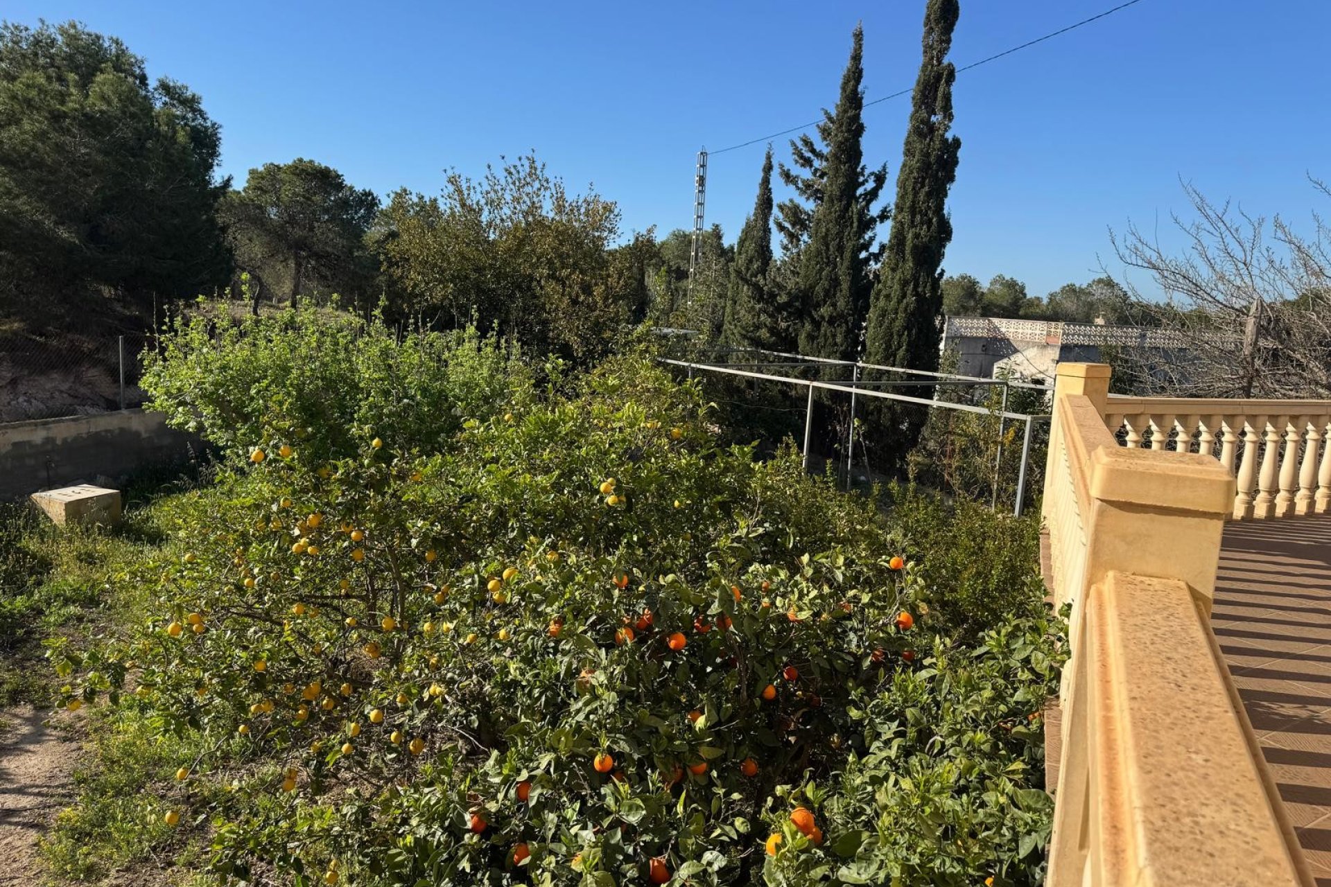 Reventa - Villa -
Elche - La Marina