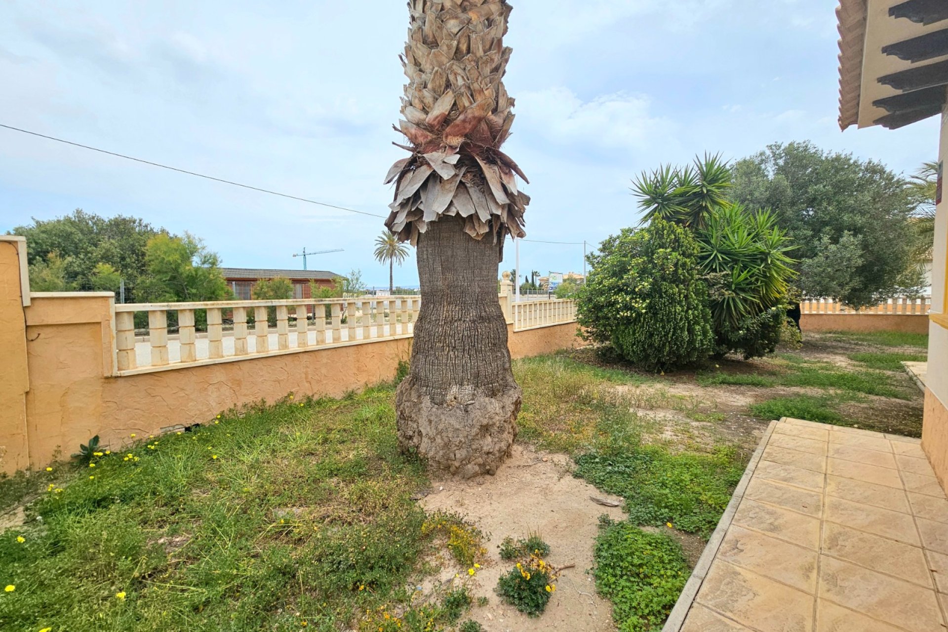Reventa - Villa -
Elche - La Marina