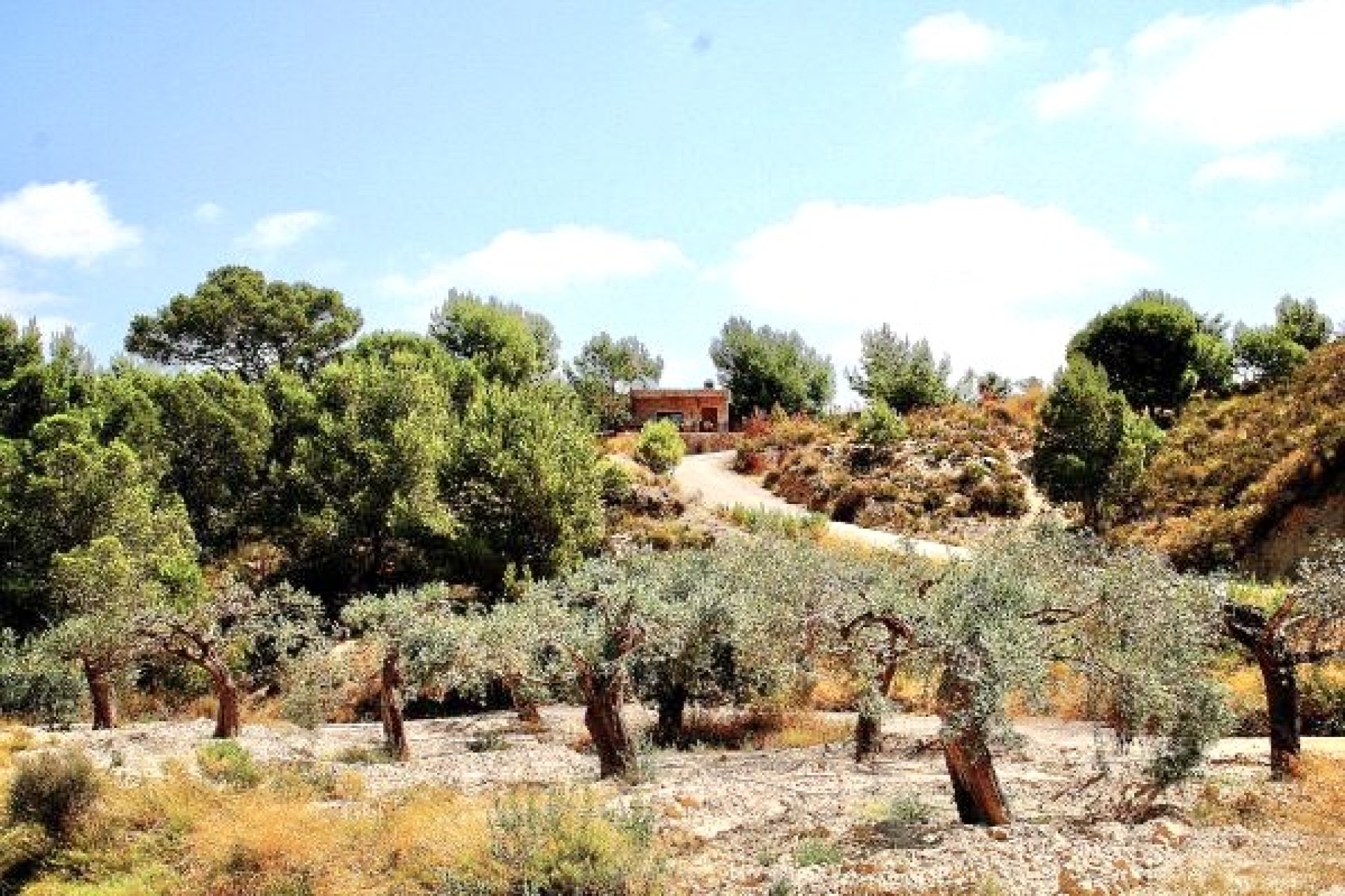 Reventa - Villa -
Murcia - Costa Blanca