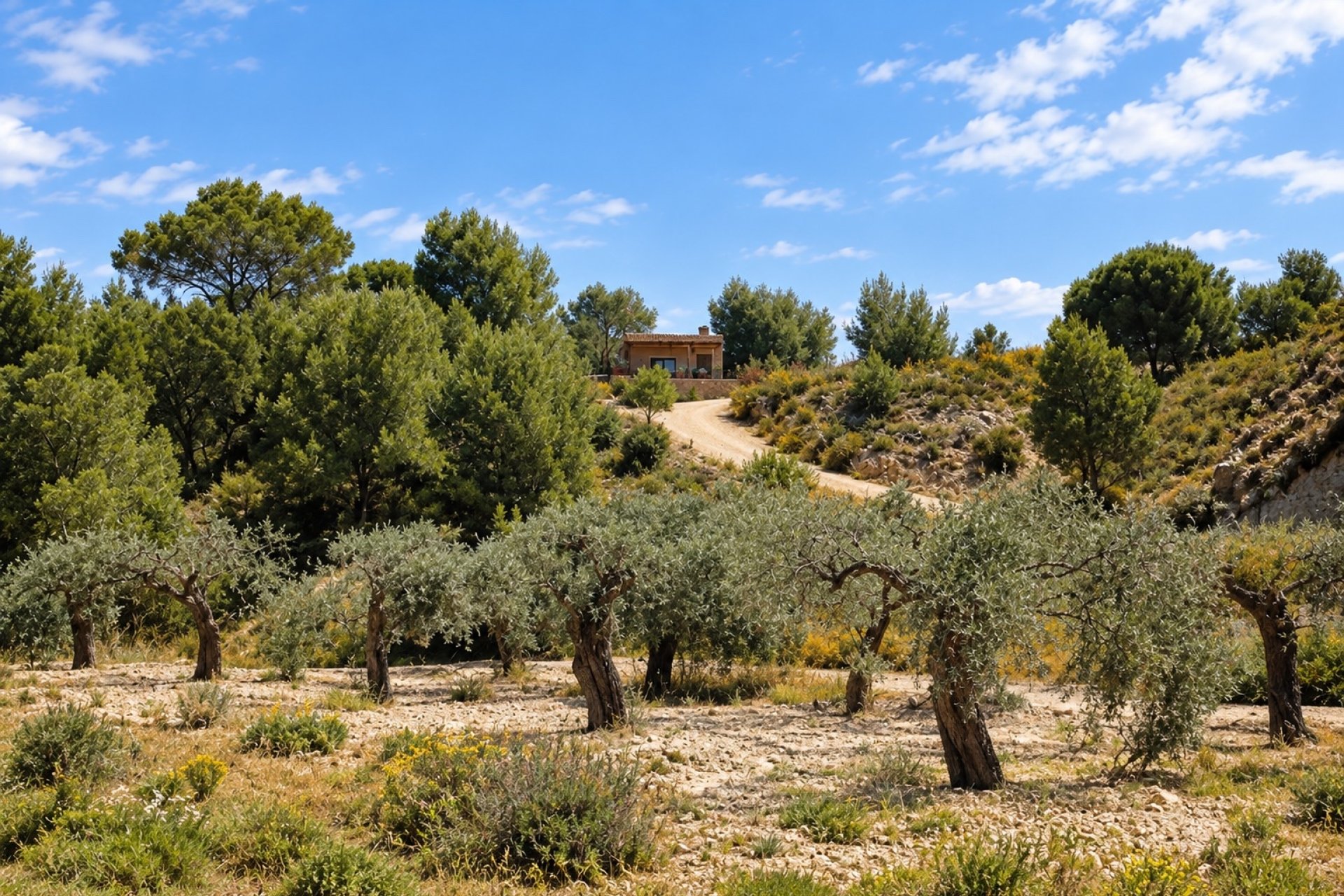 Reventa - Villa -
Murcia - Costa Blanca