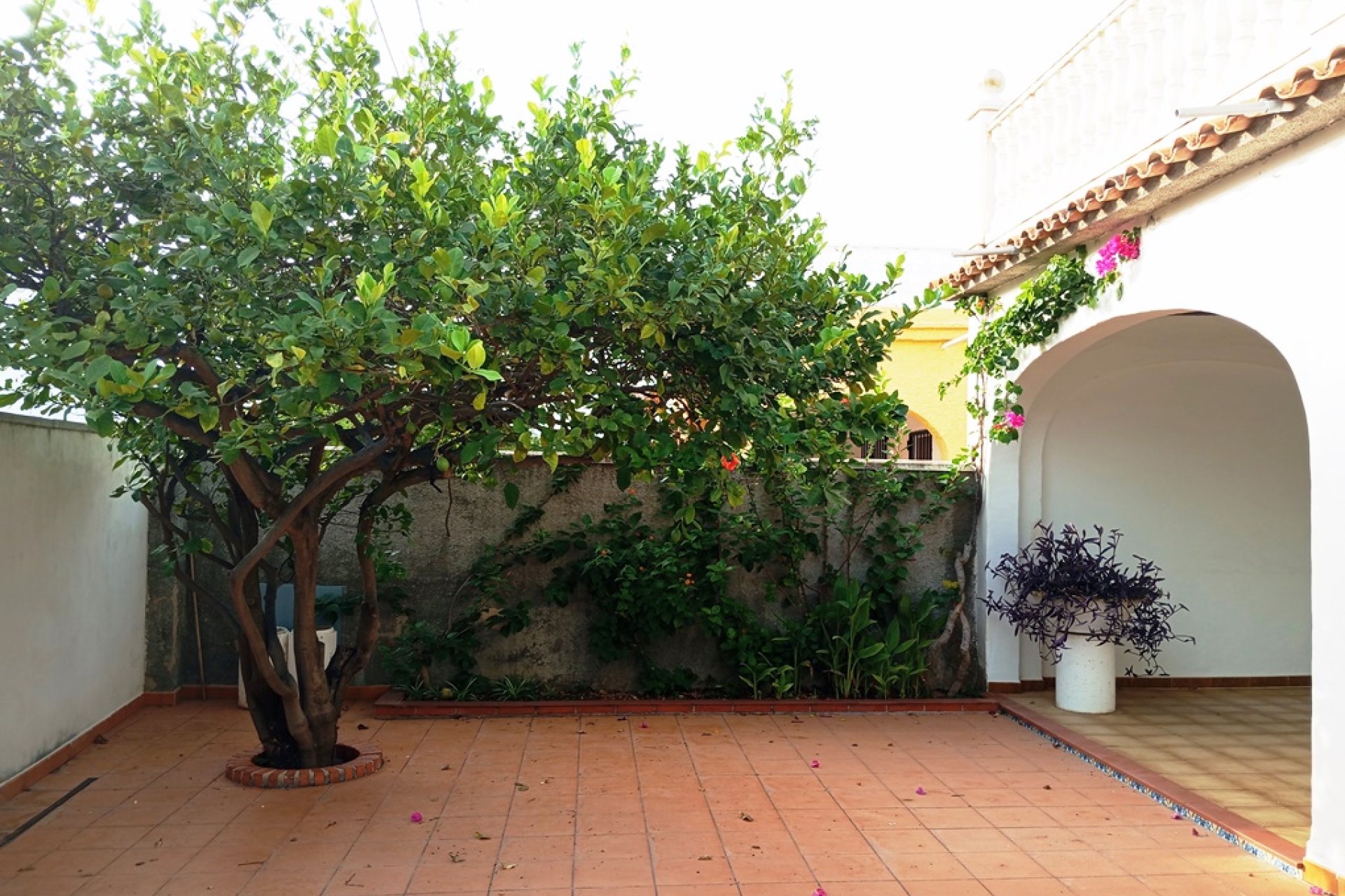 Reventa - Villa -
Oliva