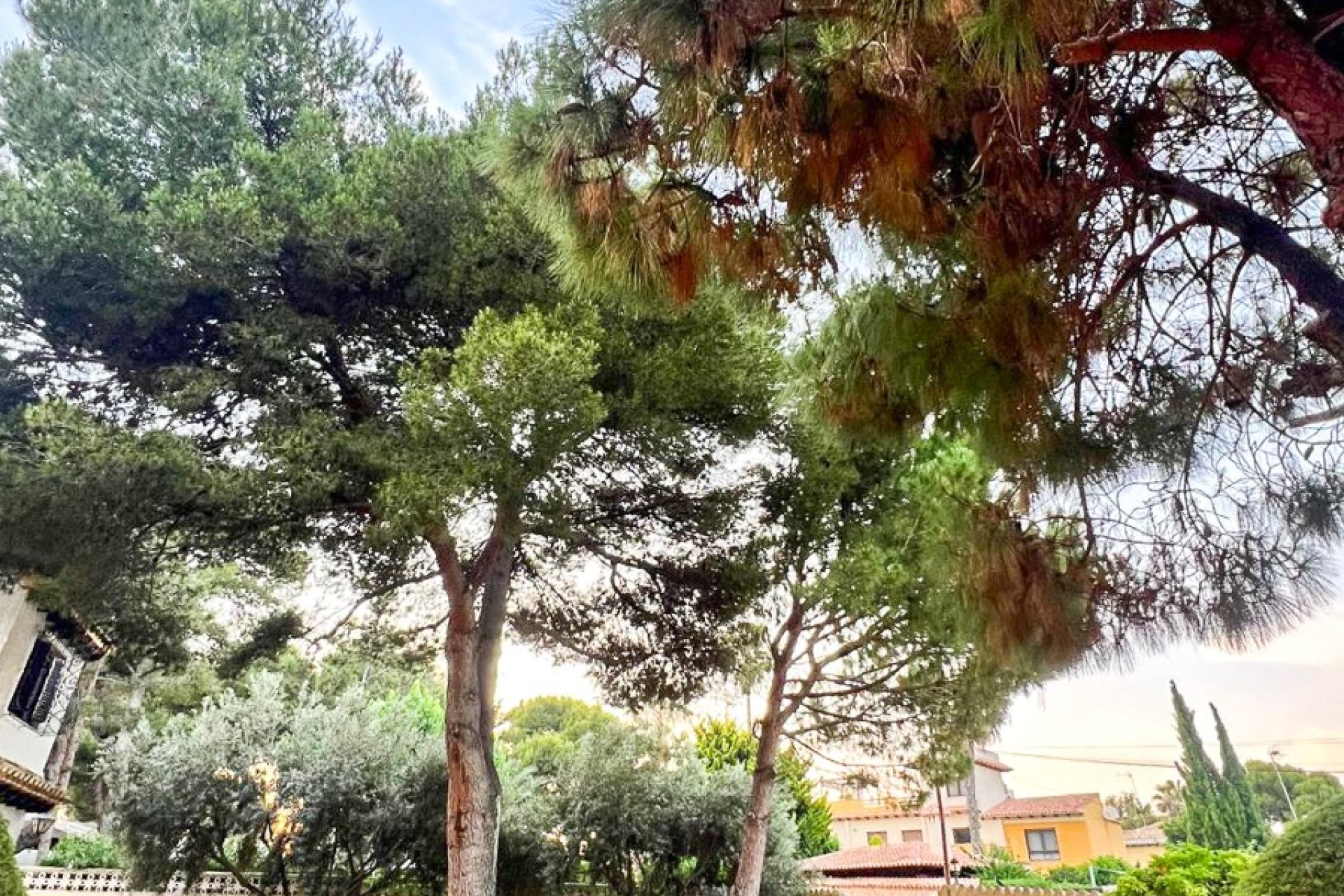 Reventa - Villa -
Orihuela Costa - Punta Prima