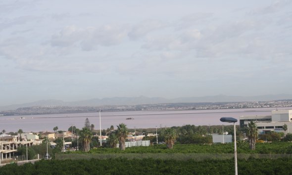 Nybyggeri - semi-detached -
Torrevieja