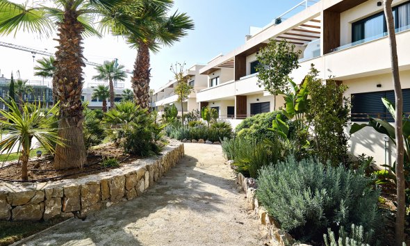 Obra nueva - high-bungalow -
Torrevieja